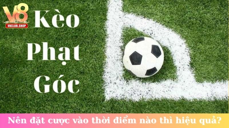 Nên đặt cược vào thời điểm nào thì hiệu quả?