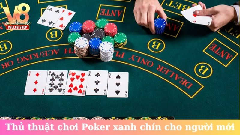 Thủ thuật chơi Poker xanh chín cho người mới
