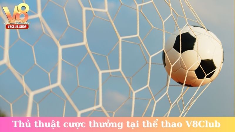 Thủ thuật cược thưởng tại sảnh thể thao V8Club